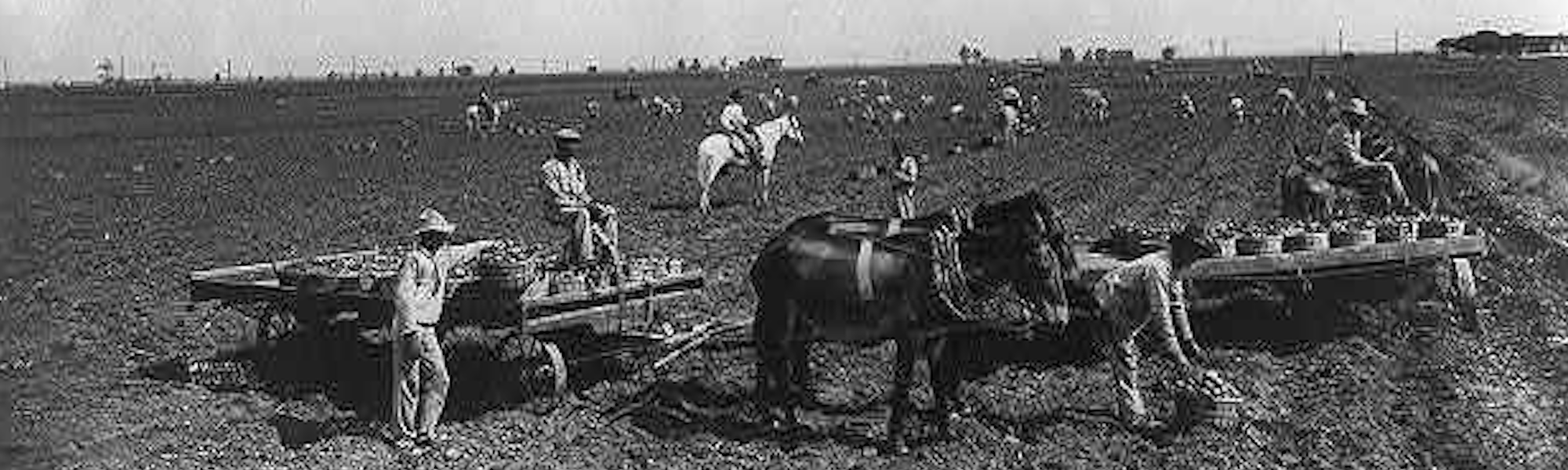 Key Votes: Homestead Act