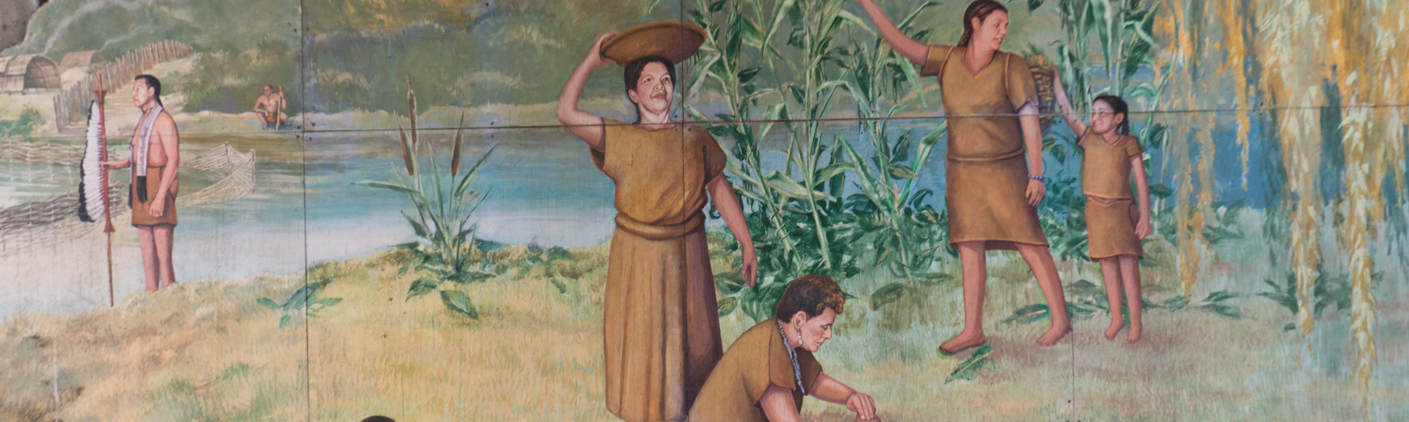 Key Votes: Indian Removal Act
